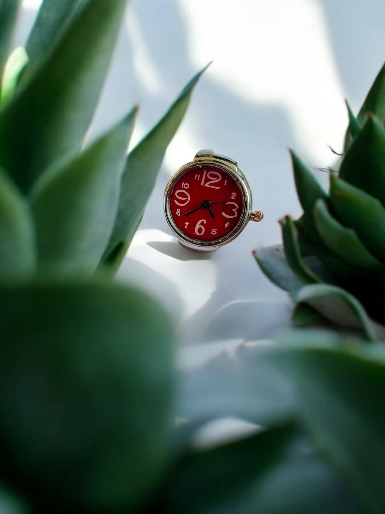Timeless Charm Statement Watch Rings
